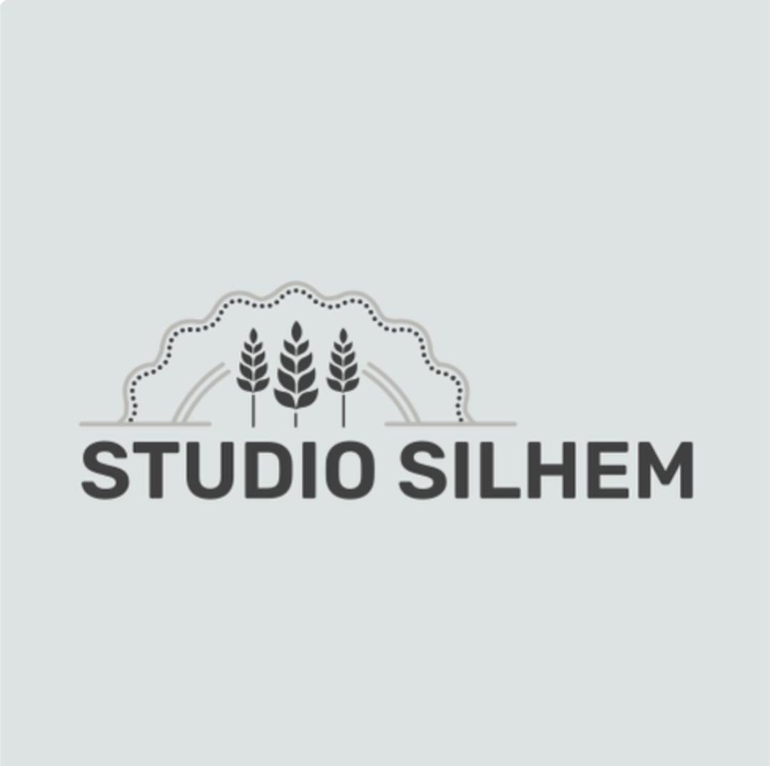 Studio Silhem Saint-Germain-les-Belles Экстерьер фото